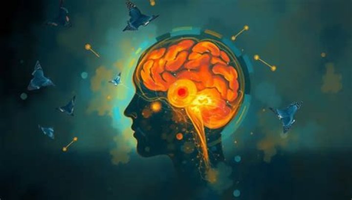 Unveiling The Hidden Force Behind Tara Westover's Success