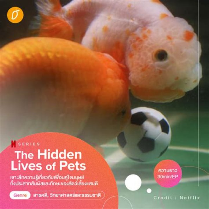 Unveiling The Hidden Lives Of Greene's Children: Exclusive Revelations