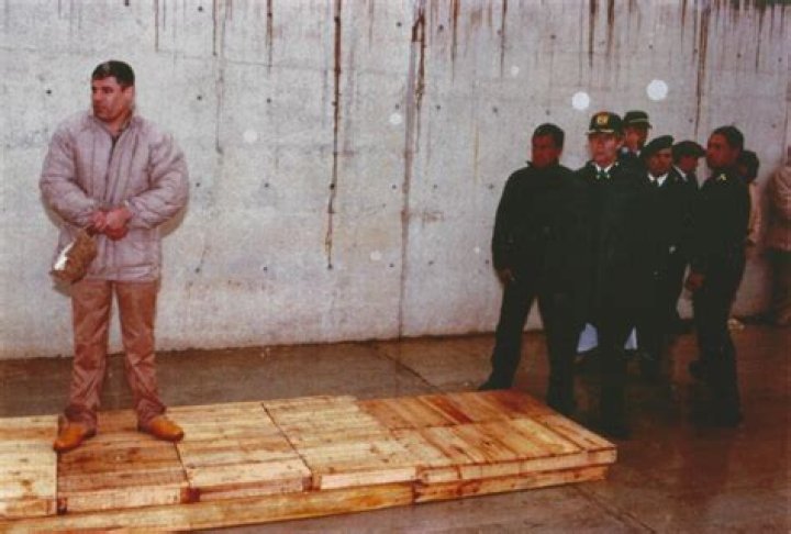 Unveiling The Hidden Truths: Chapo Guzman's Surprising Stature