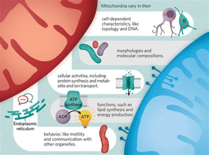 Unveiling The Multifaceted Kate Walsh: Discoveries And Insights