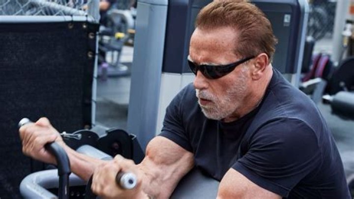 Unveiling The Multifaceted Wealth Of Arnold Schwarzenegger