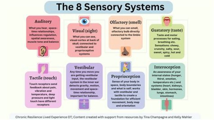 Unveiling The Mysteries Of Sensory Perception: Discoveries From William Garner