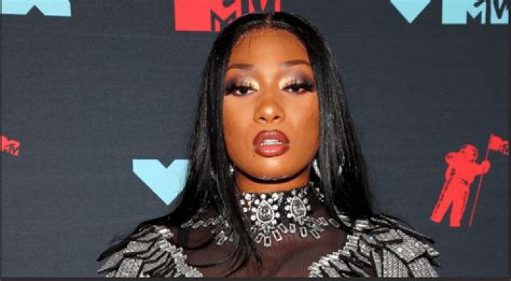 Unveiling The Private Life Of Megan Thee Stallion: Children And Beyond