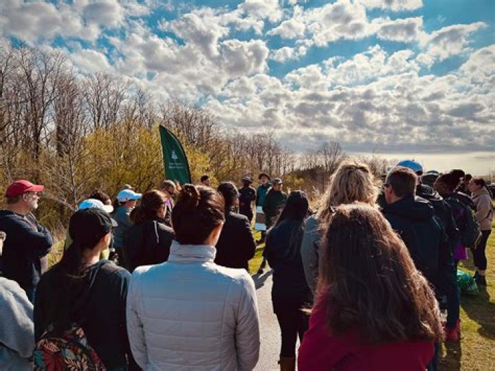 Unveiling The Secrets Of Ben Napier's Forestry Expertise