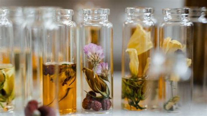 Unveiling The Secrets Of "Physical 100 Farmers": Discoveries And Insights