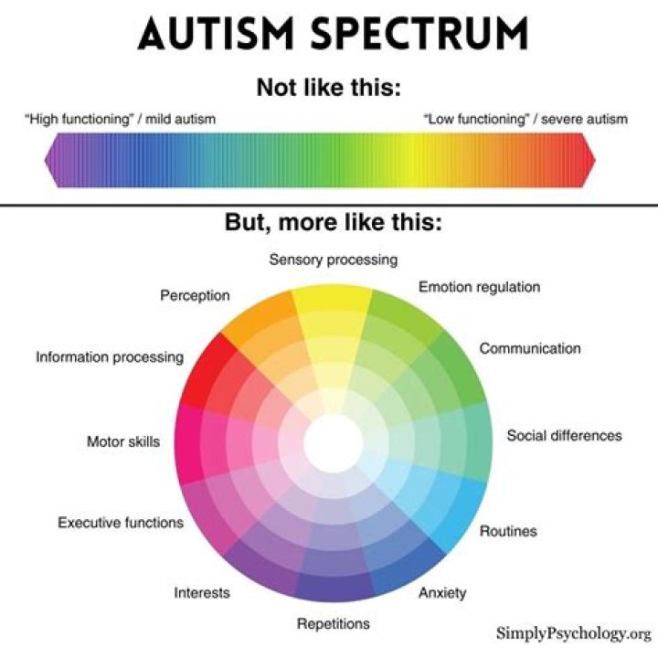 Unveiling The Spectrum Of Autism