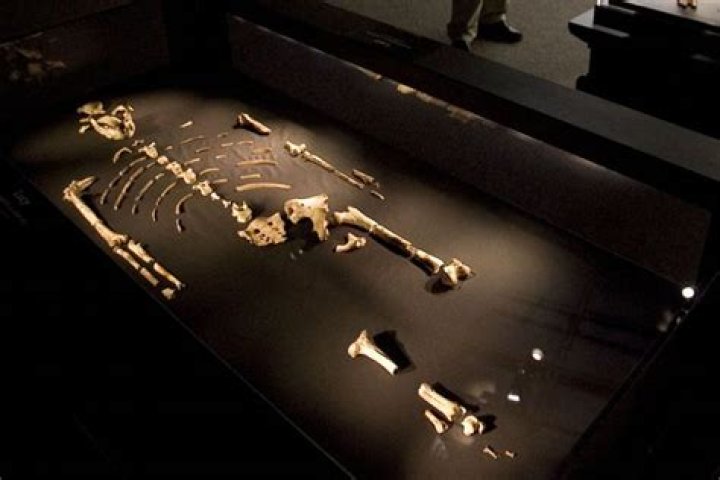 Unveiling The World Of Lucy Williamson: Insights And Discoveries