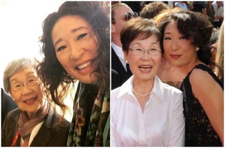 Young-Nam Oh: Who is Sandra Oh's Mother?
