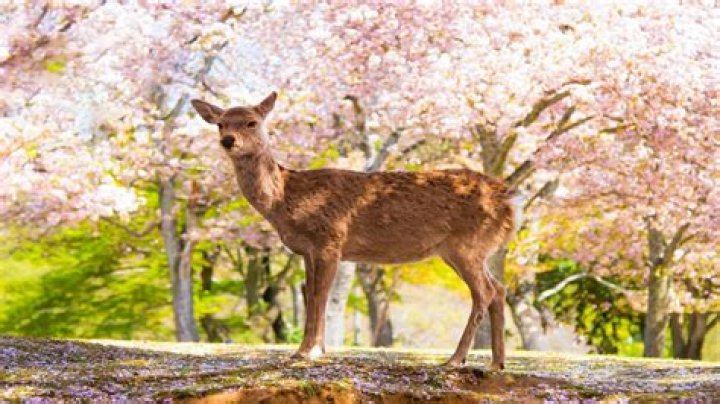 Your April Travel Guide To Unforgettable Experiences
