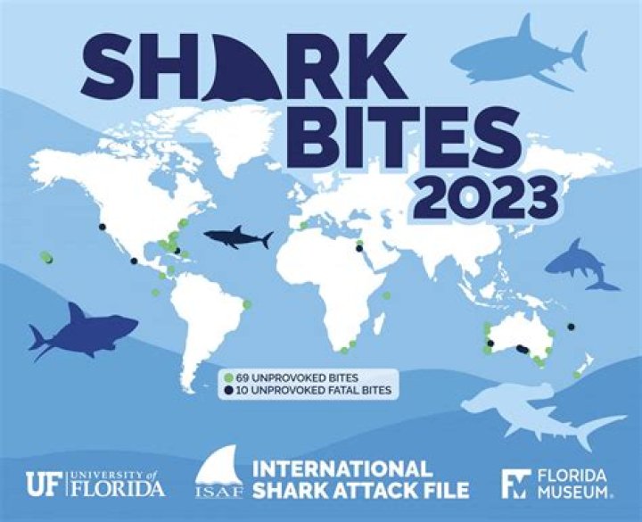 Your Guide To Shark Attacks In Manila